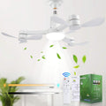//img.ltwebstatic.com/v4/j/spmp/2026/06/18/a8/17817536959f94bbc736720e18c03af53633432582_square_thumbnail_900x.webp