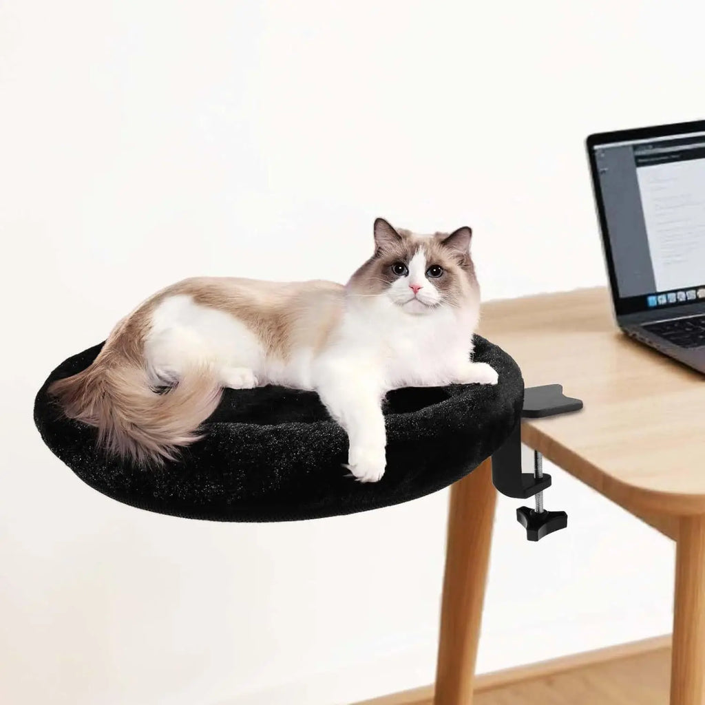 https://ae-pic-a1.aliexpress-media.com/kf/S12307568ec584770a8b1ab43a4a00346S.jpg_500x500.jpg_.webp